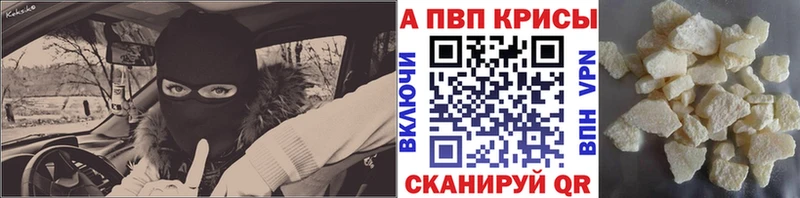 купить  сайты  Тайга  Alfa_PVP СК 
