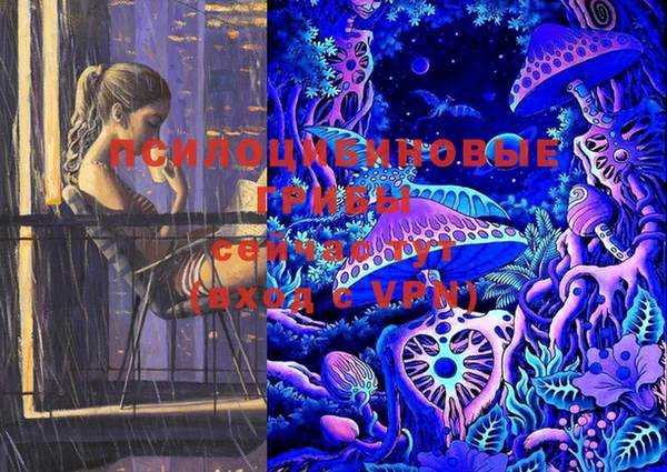 jwh Пересвет