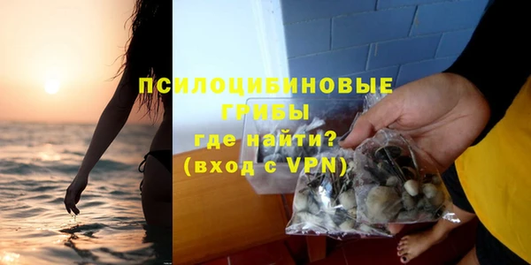 jwh Пересвет