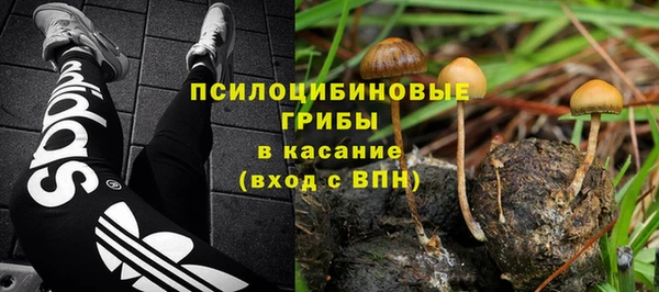 винт Пестово
