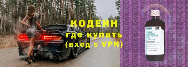 jwh Пересвет
