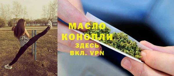 jwh Пересвет