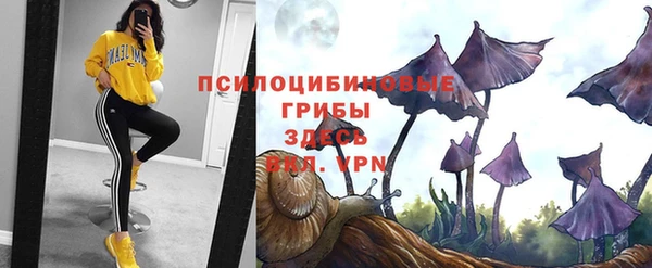 jwh Пересвет