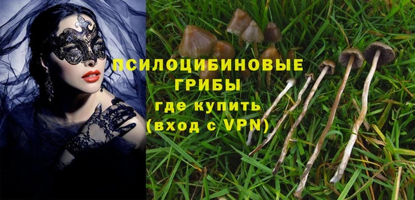 винт Пестово