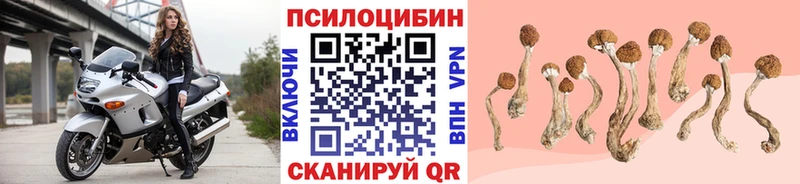 Псилоцибиновые грибы прущие грибы  наркотики  Тайга 