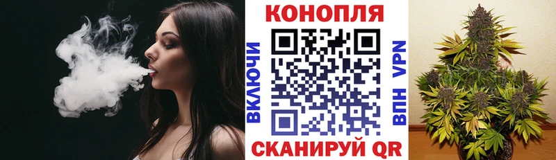 Бошки марихуана MAZAR Тайга